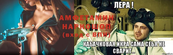 ПСИЛОЦИБИНОВЫЕ ГРИБЫ Абаза