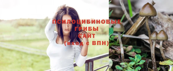 а пвп мука Алексин