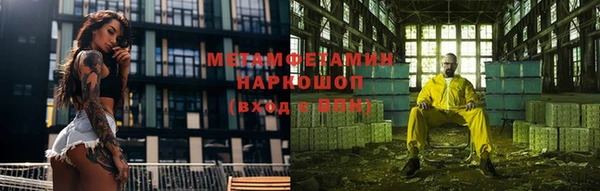 прущие грибы Ростов